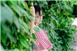 妻子的选择全集