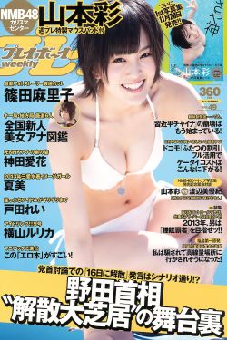 破产姐妹第二季在线观看完整版免费